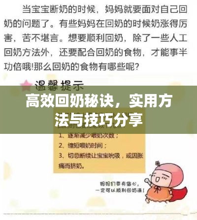 高效回奶秘訣，實(shí)用方法與技巧分享