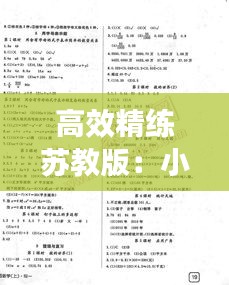 高效精練蘇教版：小學數學高效精練五年級下冊蘇教版答案 