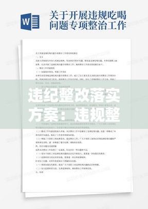 違紀整改落實方案：違規整改報告 