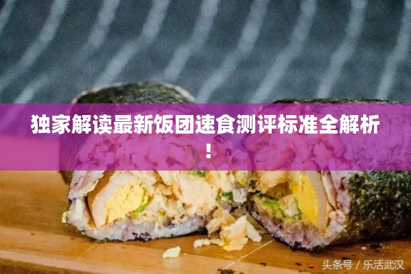 獨家解讀最新飯團速食測評標準全解析！