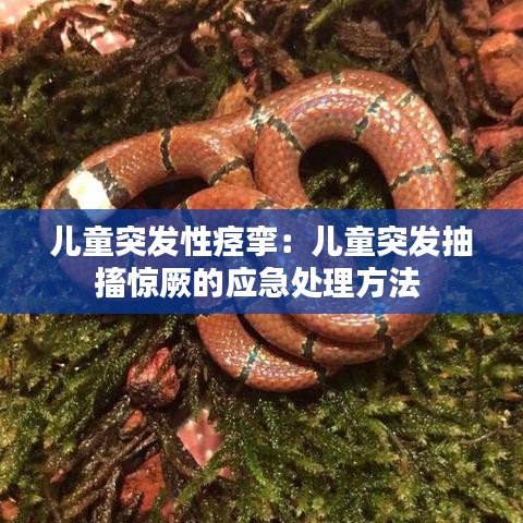 兒童突發性痙攣：兒童突發抽搐驚厥的應急處理方法 