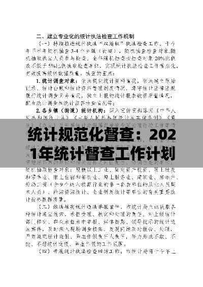 統(tǒng)計規(guī)范化督查：2021年統(tǒng)計督查工作計劃 