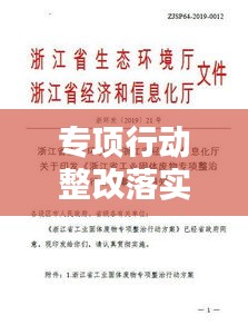 專項行動整改落實方案：專項整改工作的實施方案 