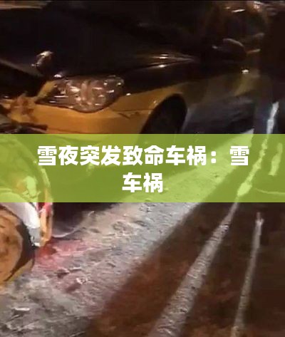 雪夜突發致命車禍：雪 車禍 