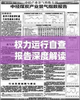 權力運行自查報告深度解讀，揭示問題，提出整改建議，促進規范運行！