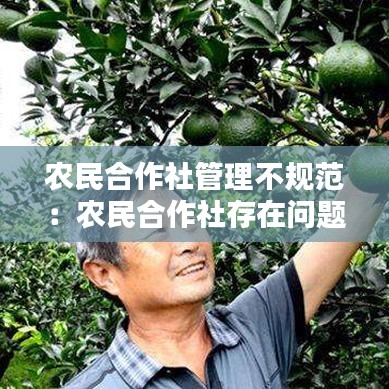 農民合作社管理不規范：農民合作社存在問題 