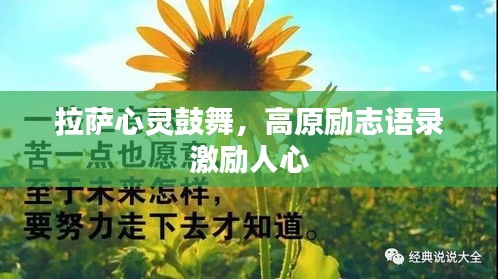 拉薩心靈鼓舞，高原勵志語錄激勵人心