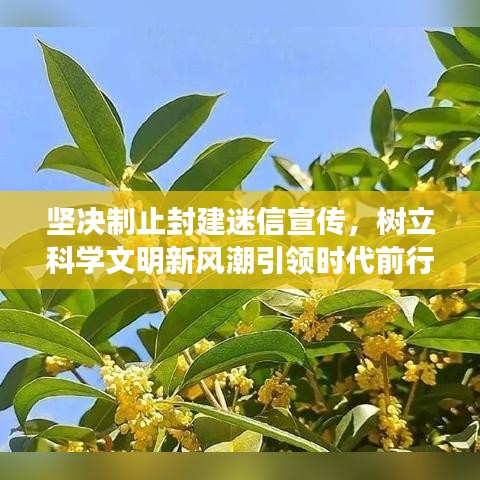 堅決制止封建迷信宣傳，樹立科學(xué)文明新風(fēng)潮引領(lǐng)時代前行