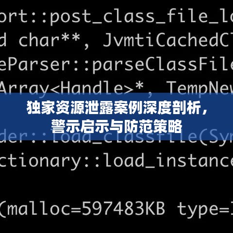 獨家資源泄露案例深度剖析，警示啟示與防范策略