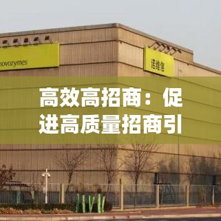 高效高招商：促進高質量招商引資心得 