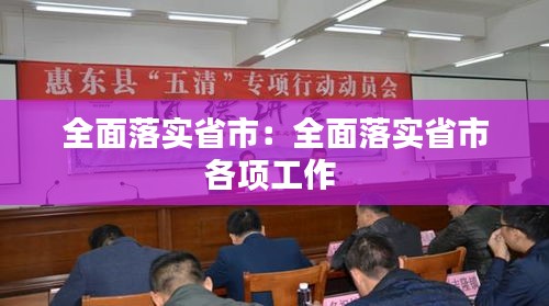 全面落實省市：全面落實省市各項工作 