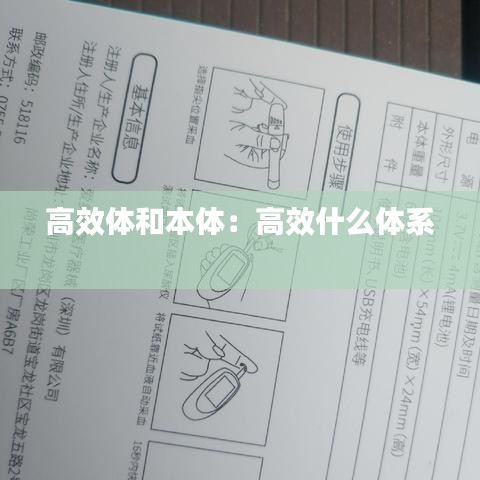 高效體和本體：高效什么體系 