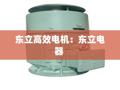 東立高效電機：東立電器 