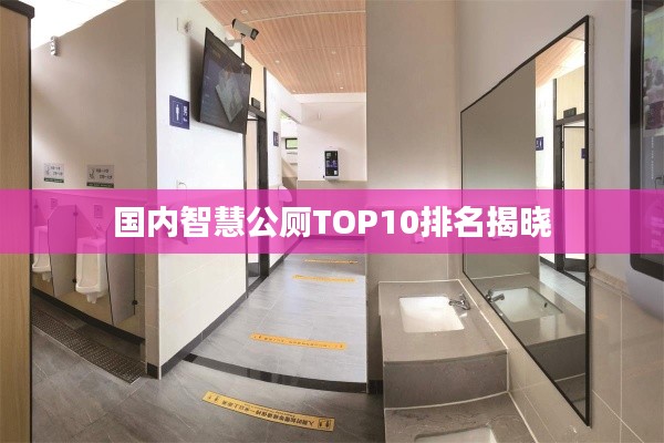 國內(nèi)智慧公廁TOP10排名揭曉