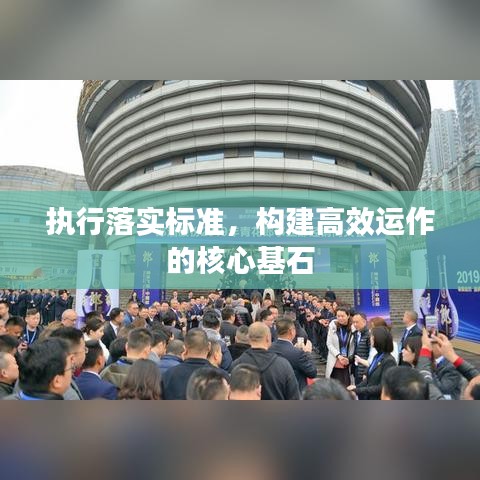 執行落實標準，構建高效運作的核心基石