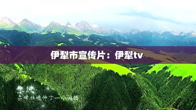 伊犁市宣傳片：伊犁tv 