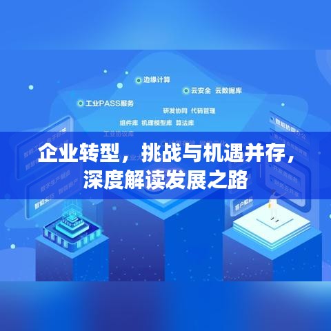 企業轉型，挑戰與機遇并存，深度解讀發展之路