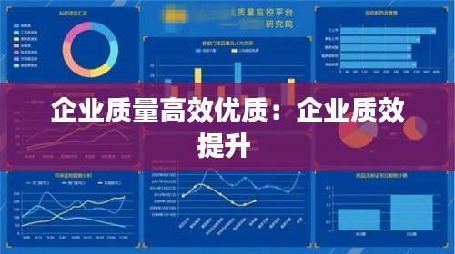 企業質量高效優質：企業質效提升 