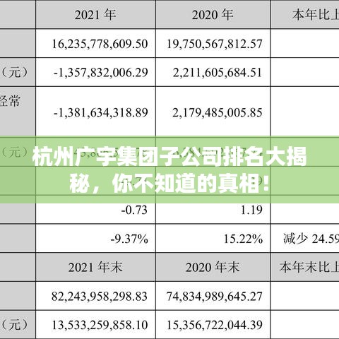 杭州廣宇集團子公司排名大揭秘，你不知道的真相！