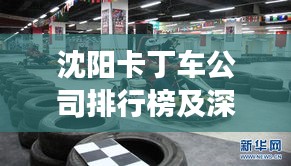 沈陽卡丁車公司排行榜及深度市場分析