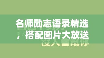 名師勵志語錄精選，搭配圖片大放送！