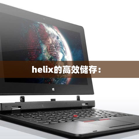 helix的高效儲存： 