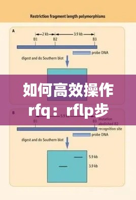 如何高效操作rfq：rflp步驟 