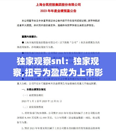 獨家觀察snl：獨家觀察,扭虧為盈成為上市影企2023年財務預告關鍵詞 