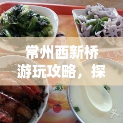 常州西新橋游玩攻略，探秘歷史古韻與美食之旅