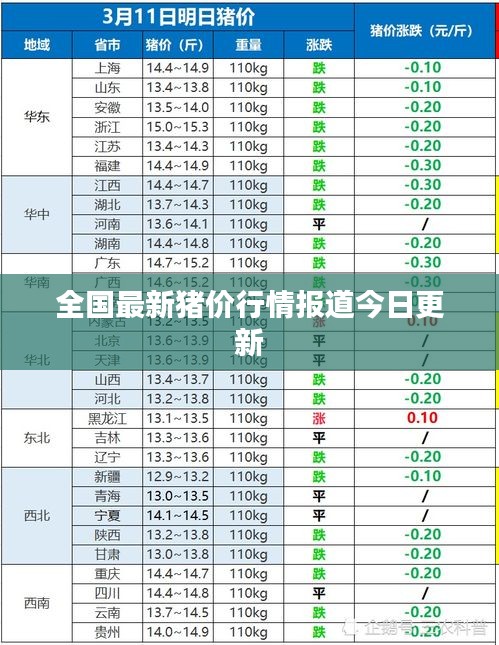 全國最新豬價行情報道今日更新