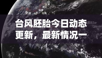 臺風胚胎今日動態更新，最新情況一覽