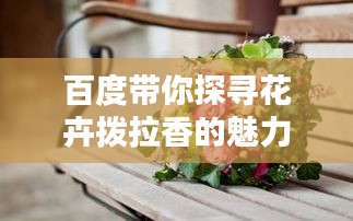 百度帶你探尋花卉撥拉香的魅力