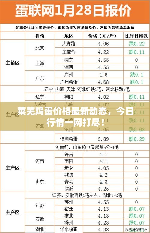 萊蕪雞蛋價格最新動態，今日行情一網打盡！