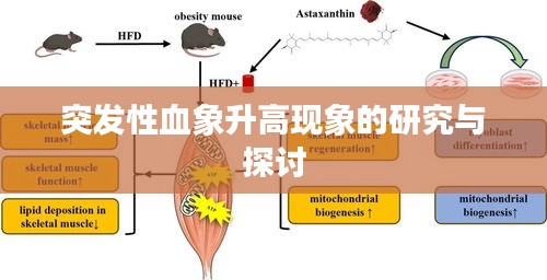 突發(fā)性血象升高現(xiàn)象的研究與探討