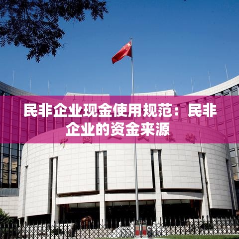 民非企業現金使用規范：民非企業的資金來源 