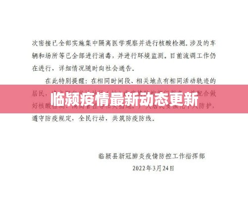 臨潁疫情最新動態更新