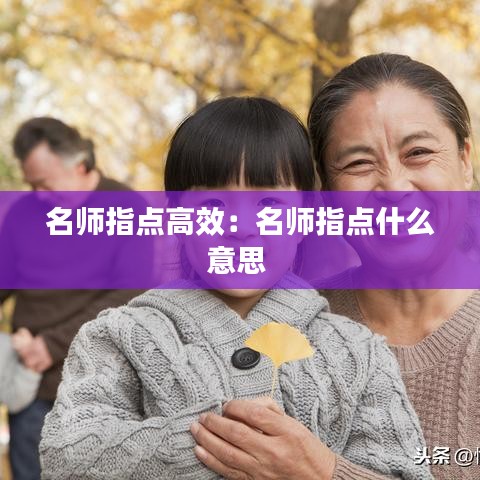 名師指點高效：名師指點什么意思 