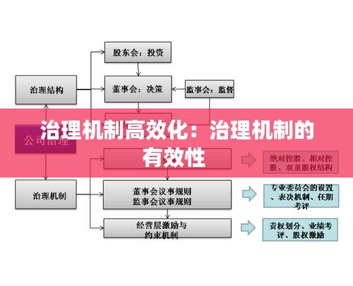 治理機制高效化：治理機制的有效性 