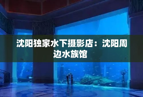 沈陽獨家水下攝影店：沈陽周邊水族館 