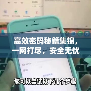 高效密碼秘籍集錦，一網打盡，安全無憂