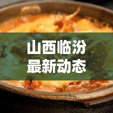 山西臨汾最新動態更新速遞