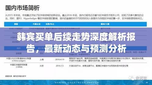 韓賓買單后續走勢深度解析報告，最新動態與預測分析