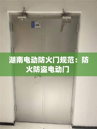 湖南電動防火門規范：防火防盜電動門 