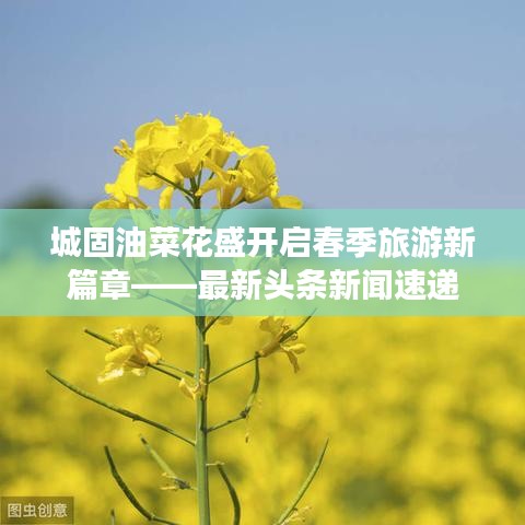 城固油菜花盛開啟春季旅游新篇章——最新頭條新聞速遞