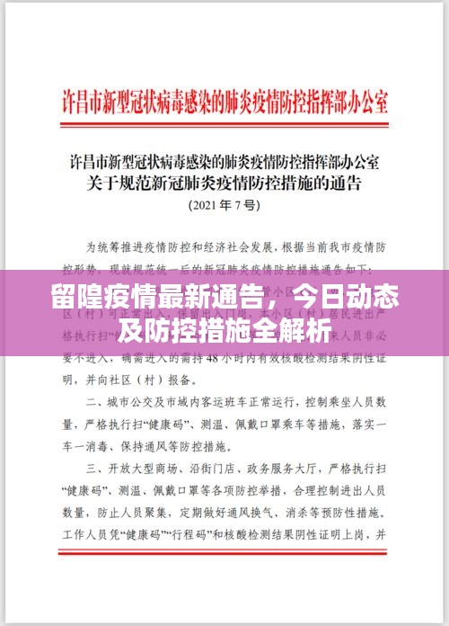 留隍疫情最新通告，今日動態及防控措施全解析