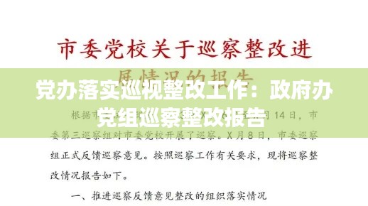 黨辦落實巡視整改工作：政府辦黨組巡察整改報告 