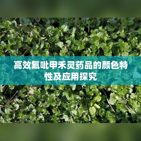 高效氟吡甲禾靈藥品的顏色特性及應(yīng)用探究