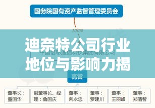 迪奈特公司行業地位與影響力揭秘，深度解析排名數據