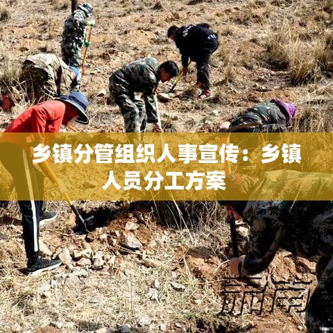 鄉(xiāng)鎮(zhèn)分管組織人事宣傳：鄉(xiāng)鎮(zhèn)人員分工方案 