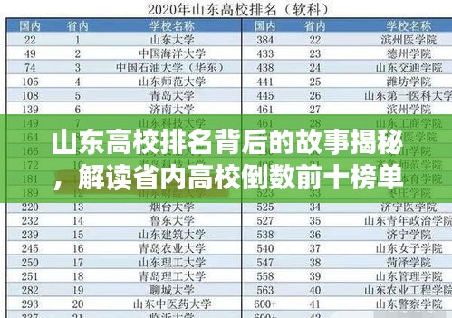 山東高校排名背后的故事揭秘，解讀省內高校倒數前十榜單